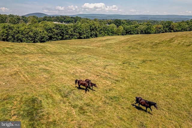 Winchester Rd, Delaplane VA land for sale