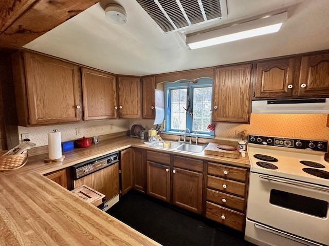 kitchen with sink, paneled dishwasher, wooden counters, and white range with electric cooktop