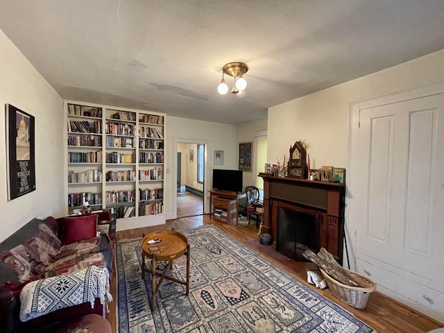 living room with hardwood / wood-style floors