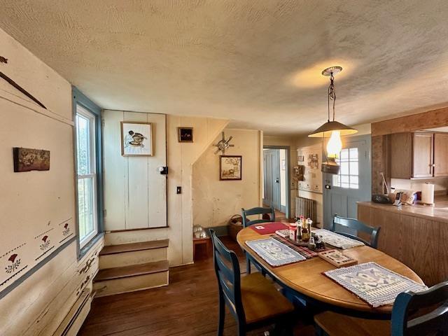 dining space with radiator, a healthy amount of sunlight, a textured ceiling, and dark hardwood / wood-style flooring