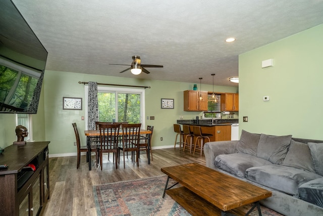 living room featuring ceiling fan, dark hardwood / wood-style flooring, and a textured ceiling