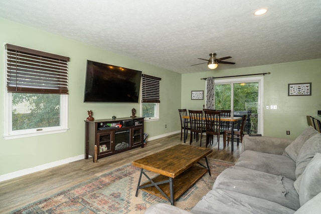 living room featuring hardwood / wood-style floors, a textured ceiling, and ceiling fan