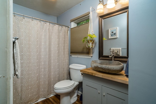 bathroom featuring vanity, wood-type flooring, and toilet