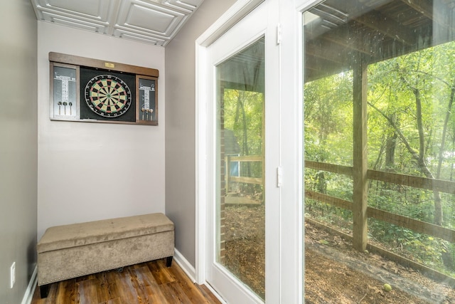 entryway featuring plenty of natural light and dark hardwood / wood-style floors