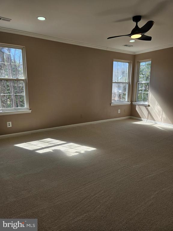 carpeted empty room featuring a ceiling fan, baseboards, visible vents, and ornamental molding