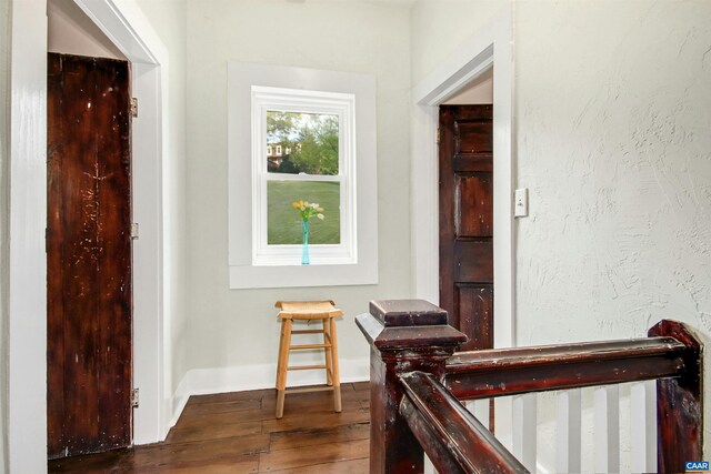 corridor with dark wood-type flooring