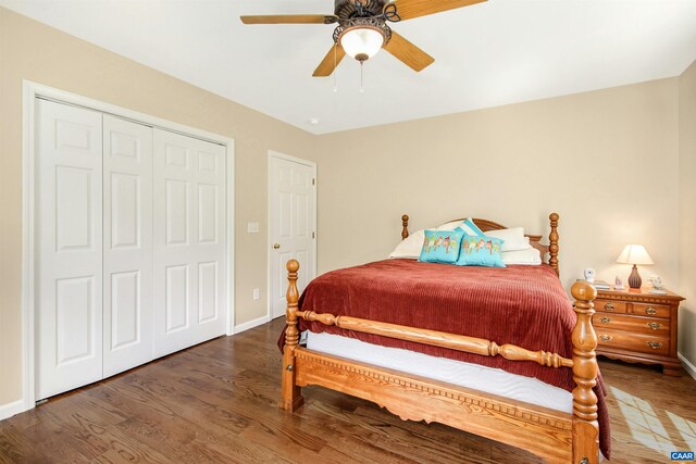 bedroom featuring dark wood-type flooring, ceiling fan, and a closet