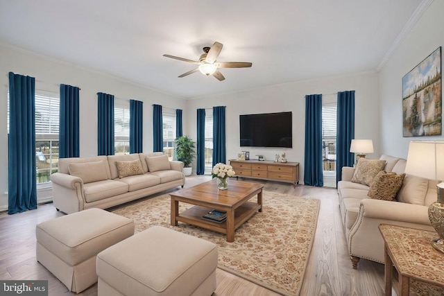 living area featuring ceiling fan, light wood-style floors, plenty of natural light, and crown molding