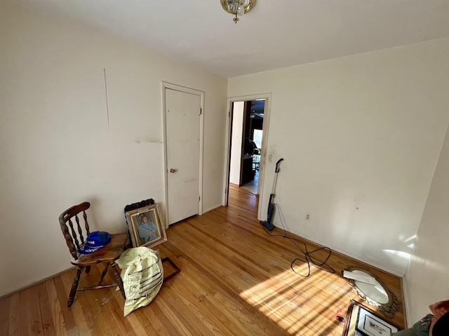 sitting room with light wood-type flooring