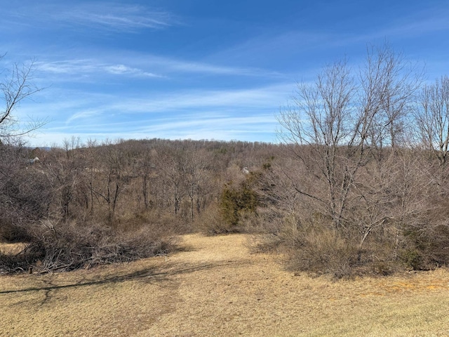 view of landscape