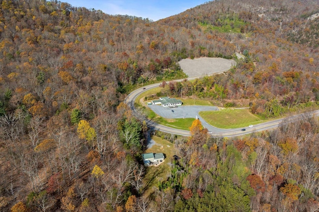 drone / aerial view with a mountain view