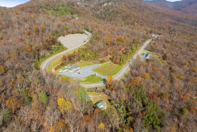 bird's eye view with a mountain view