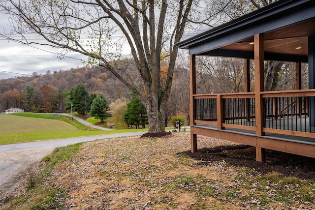 view of yard featuring a deck