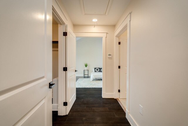 corridor with dark hardwood / wood-style floors