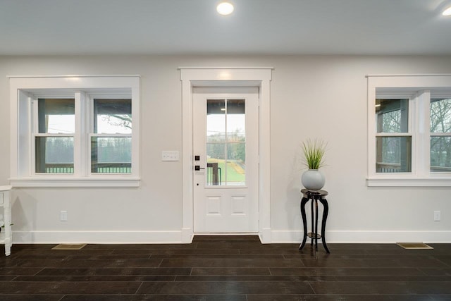 foyer entrance with dark hardwood / wood-style flooring and a wealth of natural light