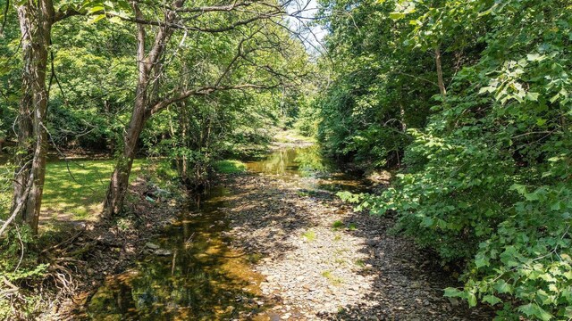 view of local wilderness