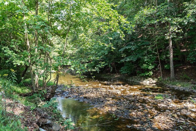 view of local wilderness