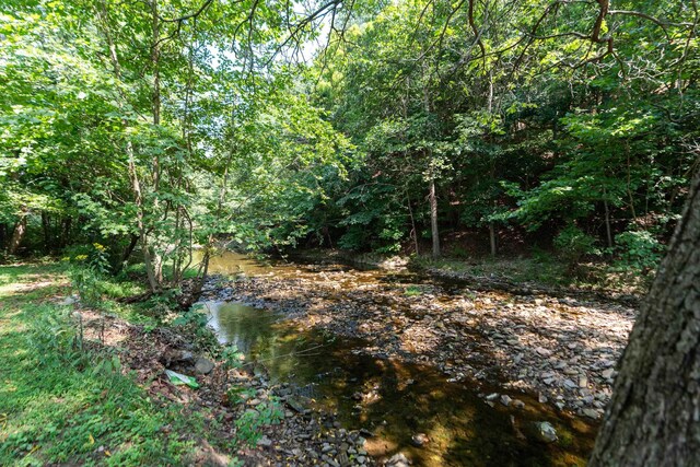 view of local wilderness