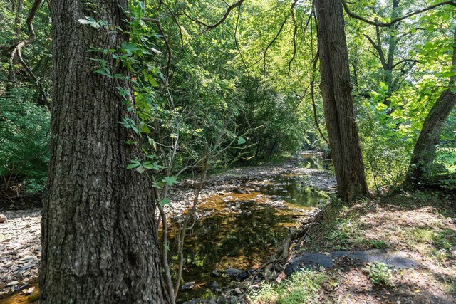 view of nature