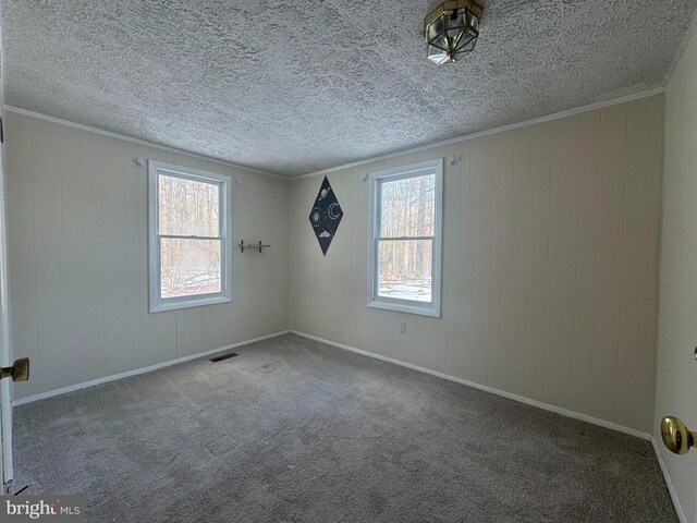 spare room featuring crown molding, carpet floors, and a wealth of natural light