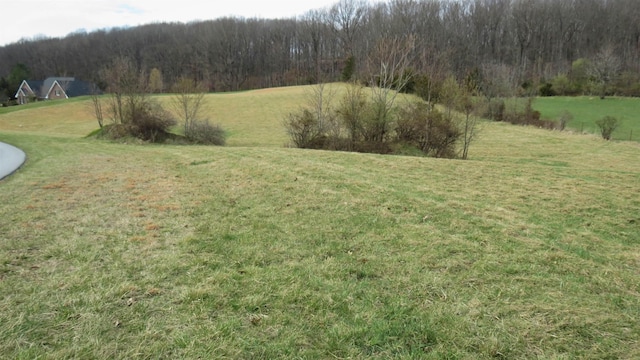 Listing photo 3 for LOT4 Farmington Dr, Staunton VA 24401