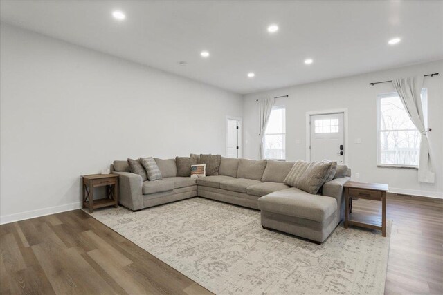 living room with hardwood / wood-style flooring