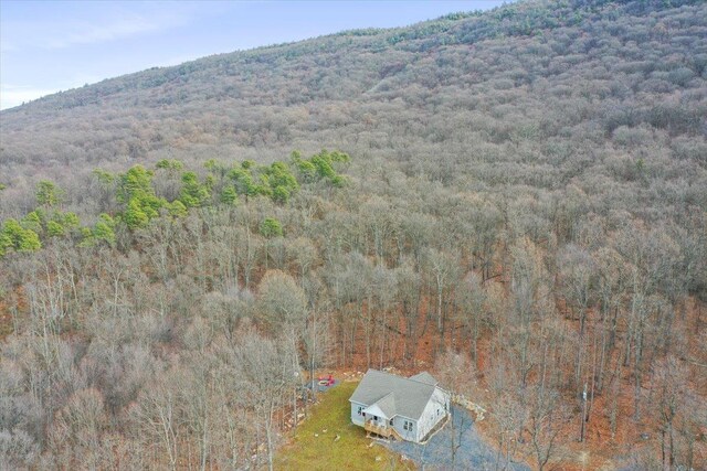 bird's eye view with a mountain view