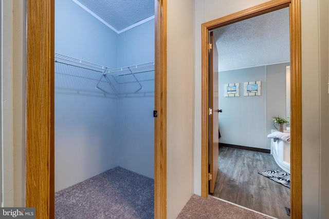 spacious closet featuring hardwood / wood-style floors