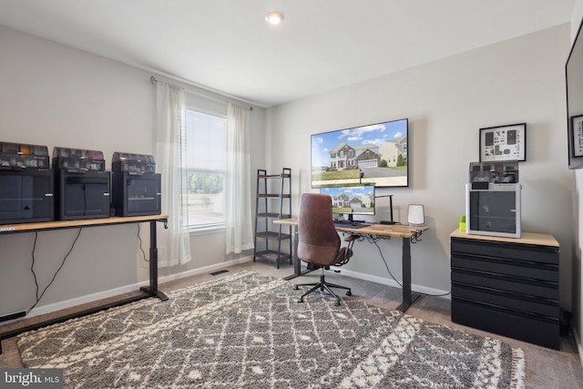 office area featuring baseboards and carpet floors