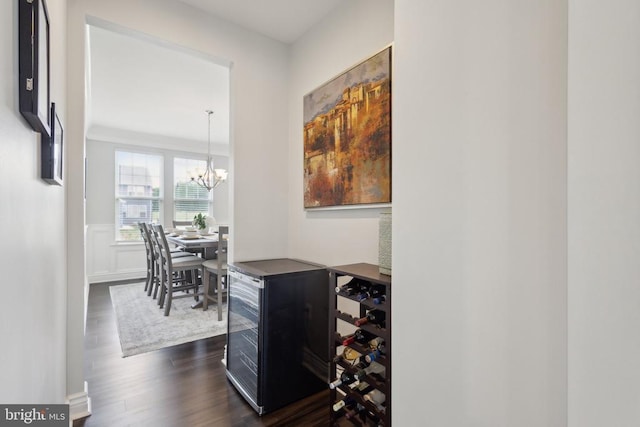 corridor featuring an inviting chandelier, beverage cooler, a wainscoted wall, and dark wood finished floors