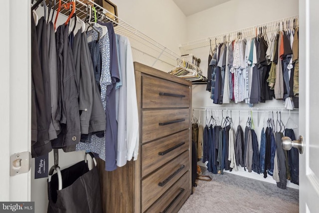 spacious closet with carpet flooring