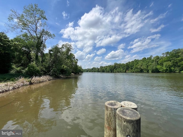 property view of water featuring a forest view