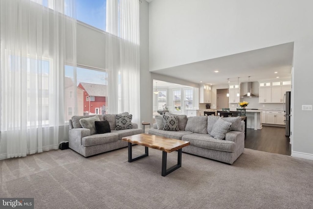 living area featuring dark carpet, dark wood-style floors, and a high ceiling