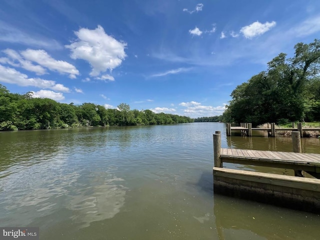 dock area featuring a water view and a view of trees