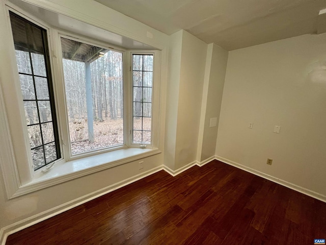 spare room featuring baseboards, wood finished floors, and a healthy amount of sunlight