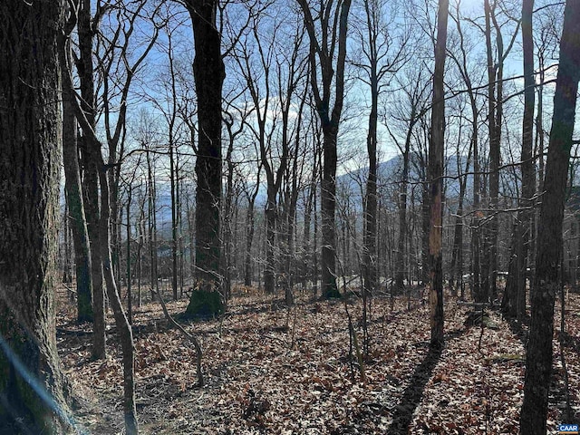 Listing photo 2 for 67 Dogwood Rd, Wintergreen Resort VA 22967