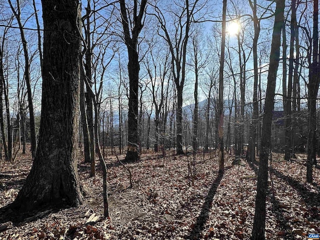 67 Dogwood Rd, Wintergreen Resort VA, 22967 land for sale