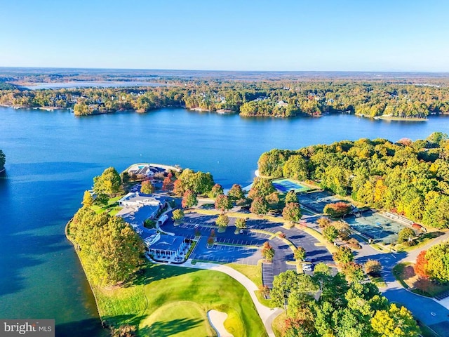 birds eye view of property featuring a water view and a forest view