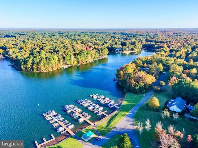 aerial view featuring a water view and a view of trees