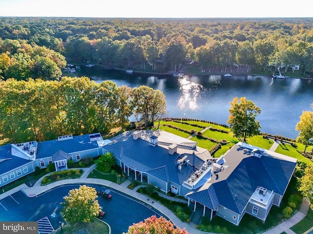 aerial view featuring a water view and a forest view