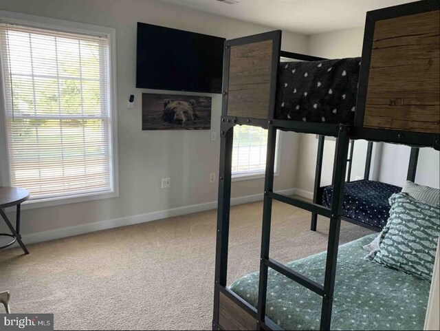 carpeted bedroom with multiple windows