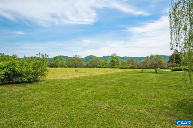 view of yard with a mountain view and a rural view