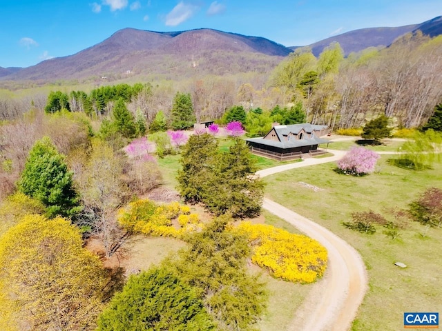 property view of mountains featuring a view of trees