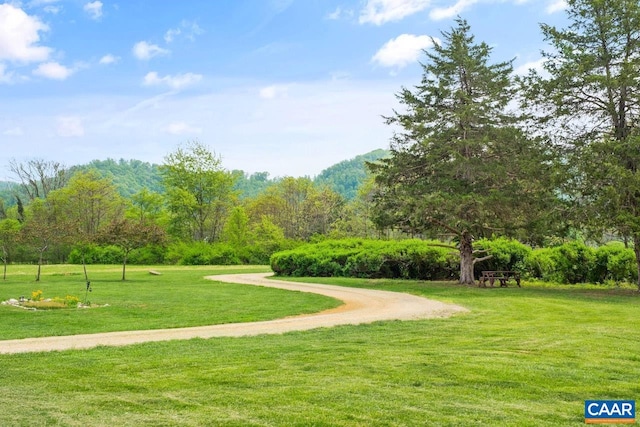 view of home's community featuring a yard