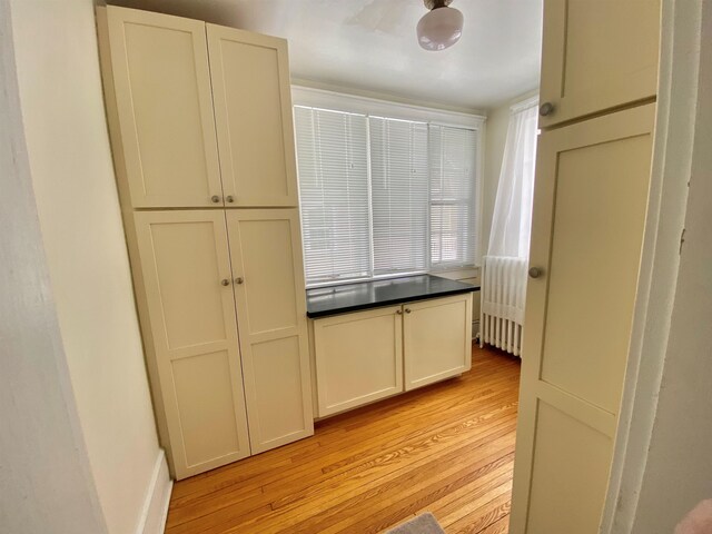 kitchen with dark countertops and light wood-type flooring