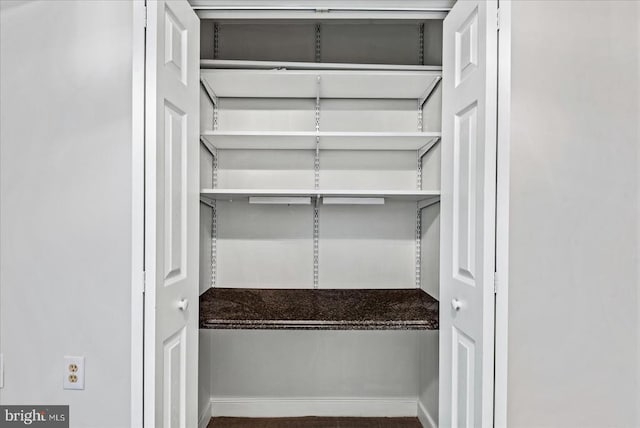 view of closet