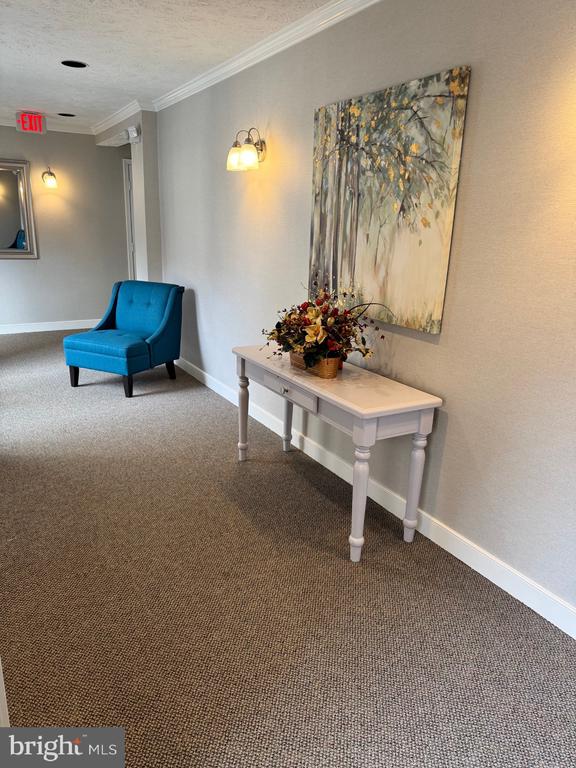 sitting room featuring carpet flooring, crown molding, and baseboards