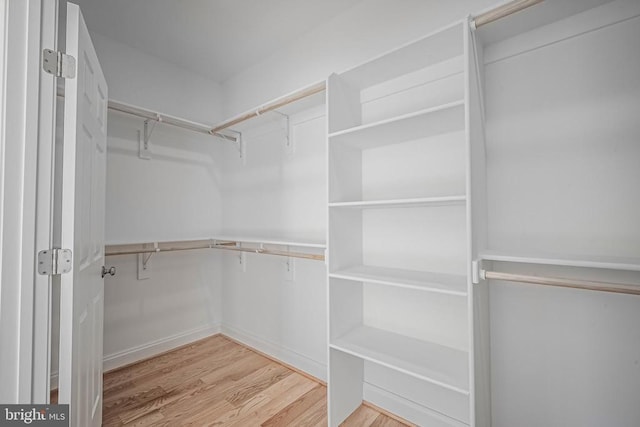 spacious closet featuring light wood-type flooring