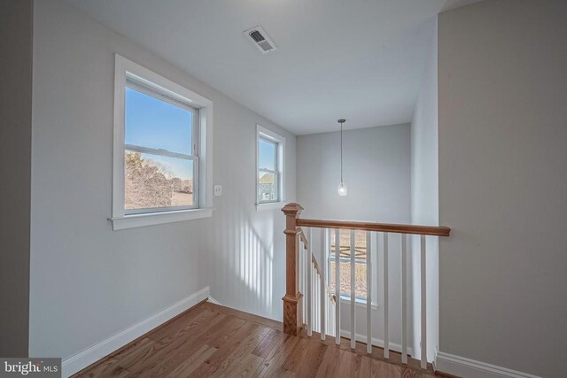 hall with wood-type flooring and a healthy amount of sunlight