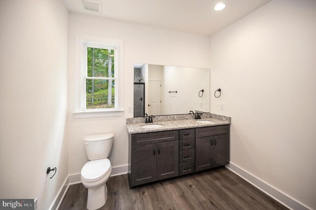 bathroom with vanity, wood-type flooring, and toilet